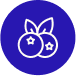 Organic Fruits <br>Extract